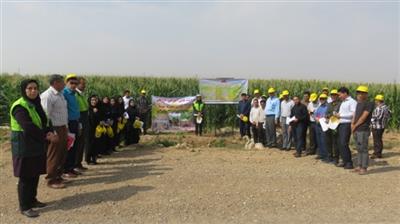 كارگاه آموزشی ترویجی سایت‌های الگویی مصرف بهینه آب در  استان ایلام برگزار شد